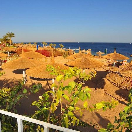 Carlton Luxury Villa Şarm El-Şeyh Dış mekan fotoğraf
