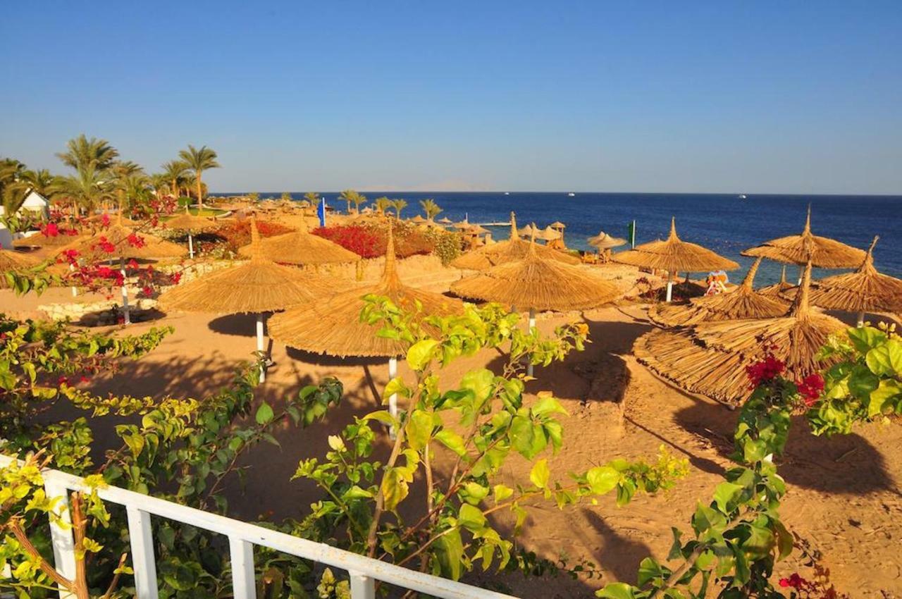 Carlton Luxury Villa Şarm El-Şeyh Dış mekan fotoğraf